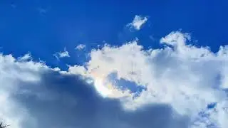 In Spirit - from album Mother. Earth Tree Healing