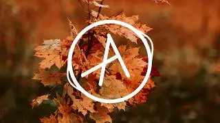 Ed Sheeran - Photograph | Viol&atilde;o solo instrumental (fingerstyle)