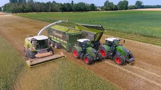 GPS 2025 : Fendt 728 / 724 | Althausen | GPS H&auml;ckseln | Harvest | Claas Jaguar 960 | Agriculture 4K