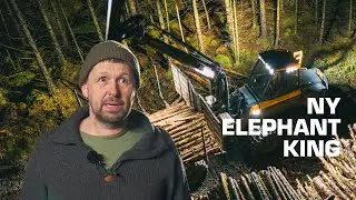 Sterk kran og komfortabel hytte | Ponsse Elephant King