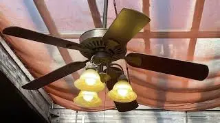 x2 Hunter Oakhurst and x4 Hampton Bay Cameron II Plus Ceiling Fans at Bertha Miranda's