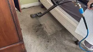Carpet and Sofa Cleaning in Orange County!