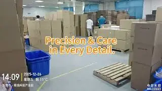 Precision & Care in Every Detail