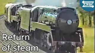 Return of Steam to NSW Railways after Brooklyn Accident - News Item - 1991