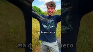 Необычная работа с змеями 😱
