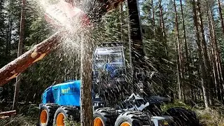 Rottne H11D harvester munka k&ouml;zben