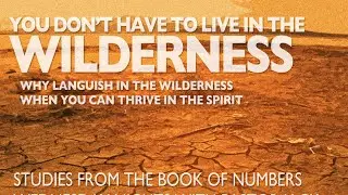 Numbers 30-31 - Vows, Vengeance & Victory