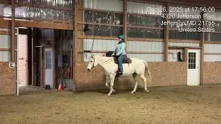 Brandy on Boston Bar Bee Adult Novice WJ and GYAP