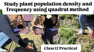 Study plant population density and frequency using quadrat method #class12th #biologypractical