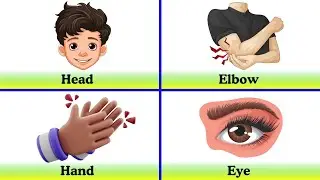 Body Parts Name in English | Human Body Parts for Kids | Name with Pictures | Learn Body Parts Name