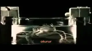 Boiling Frog Experiment / Kaynayan Kurbaga Deneyi