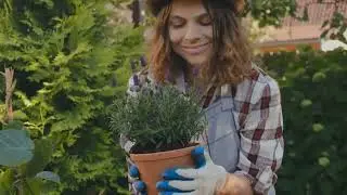 Smart Plant Picks for a Self-Sustaining Garden Setup 🌱🔄 #SelfSustaining #GardenBasics #PlantSmarter