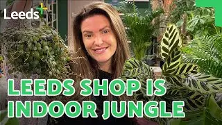Hidden Leeds shop has cult following of indoor plant lovers