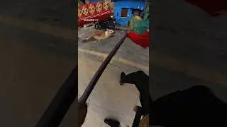 Mafia Dog Catch By Municipality #shorts #dogcatching #youtubeshorts #mafia
