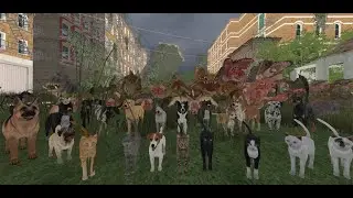 DogOnline PlayMovie