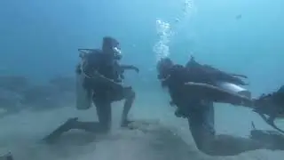 Andaman SCUBA DIVING JULY 2025 WhatsApp Video 2025 07 30 at 9 36 17 AM