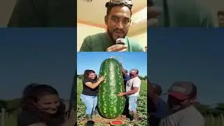 Cutting the BIGGEST Watermelon Ever! 🍉😲 | Oddly Satisfying #Shorts #WatermelonCutting #WeirdViral