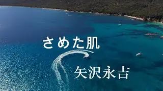 さめた肌  (カラオケ)  矢沢永吉 (歌詞字幕付き)