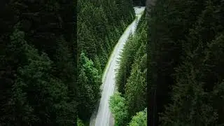 British Columbia&rsquo;s vast forests&mdash;over emerald conifers, coastal mountains Canada&rsquo;s Pacific Northwest