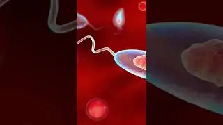 Leishmania Parasite: A Microscopic Intruder #Leishmania #ParasiteAnatomy #MicroscopicWorld