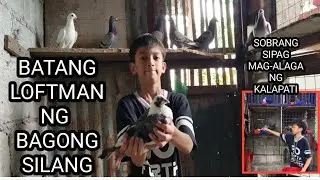 BATANG LOFTMAN NG BAGONG SILANG ,SOBRANG SIPAG MAG-ALAGA NG KALAPATI