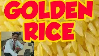 GOLDEN RICE | TAMIL EXPLANATION | BIO FORTIFICATION | பொன்நிற அரிசி | உயிரி வழி ஊட்டம்