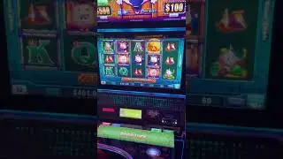 #fyp #slots #casino #money #bonus #couple #detroit #marriage #fypシ #viralvideo #viral