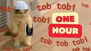 tob tobi tob tob tobi tob 📿 [ 1 Hour ]
