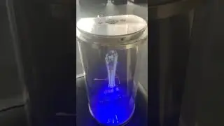 hologram projector 3D display 10.1inch circle holographic showcase#3dhologramdisplay #hologram3d