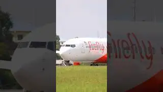 Firefly Airlines, Where Every Journey Feels Effortless