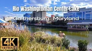 Gaithersburg MD: Rio Washingtonian Center Lake Boardwalk Walking Tour [4K]
