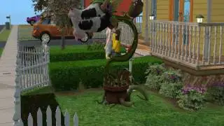 A venus fly trap cow plant victum
