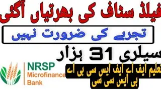 NRSP microfinance bank limited jobs 2021 all over Pakistan || AH jobs online.