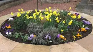 Increasing Flower Displays by Deadheading