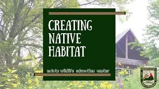Creating Native Habitat