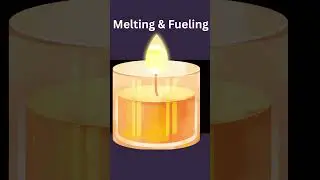 Candle Burning Explained /How Does a Candle Give Light? (Diwali Science) /  My science Diaries
