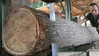 The most beautiful and termite-proof wood sawing process 