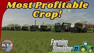 FS22 What Crop Makes the Most Money Discover the Most Profitable Crop