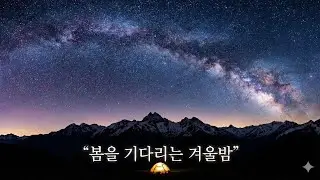 봄을 기다리는 겨울 1/25 B