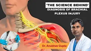 Science Behind Brachial Plexus Injury Diagnosis | Signs, Symptoms & EMG/NCV
