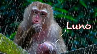 Oh..God..!! A mother gives her baby a warm hug ,When it rains, the wind blows hard..