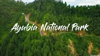 Ayubia National Park l Dji Mavic Pro HD