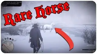 Red Dead Redemption 2 - Rare Horse/Attempted Robbery/Mauled by Wolves