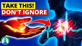 Top 10 Best Vitamins to Prevent a Heart Attack | TAKE THESE Before it's Too Late