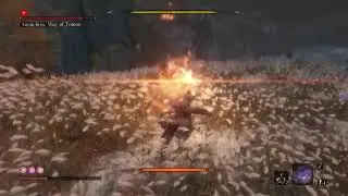 Sekiro (New Walkthrough) Part.34