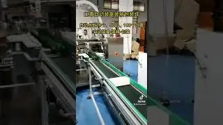 50 pieces of masks cartoning machine