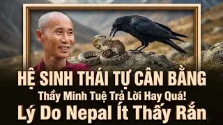 01/02 Thầy Minh Tuệ Trả Lời Hay Quá! Hệ Sinh Thái Tự Cân Bằng? - Lý Do Nepal Ít Thấy Rắn