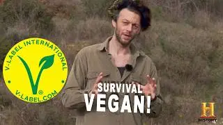 VEGAN beim Survival - Komplett unm&ouml;glich! (?)  Joe Vogel 🟢