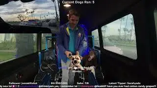 ☀️Mobile Dog Gym Episode 19: No snow here!  🐶 First Dog Gym on Twitch! �� (Part 25/32)