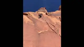 Weekend Whipper: 